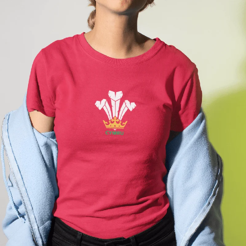 BARGAIN BASEMENT Modern Welsh Feathers - Women's T-Shirt